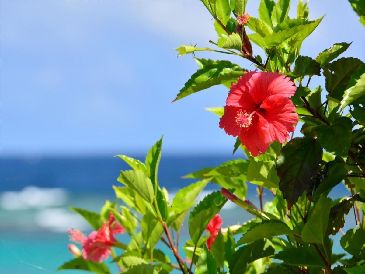 Allamanda Imgya Coral Village Miyakojima  Zewnętrze zdjęcie