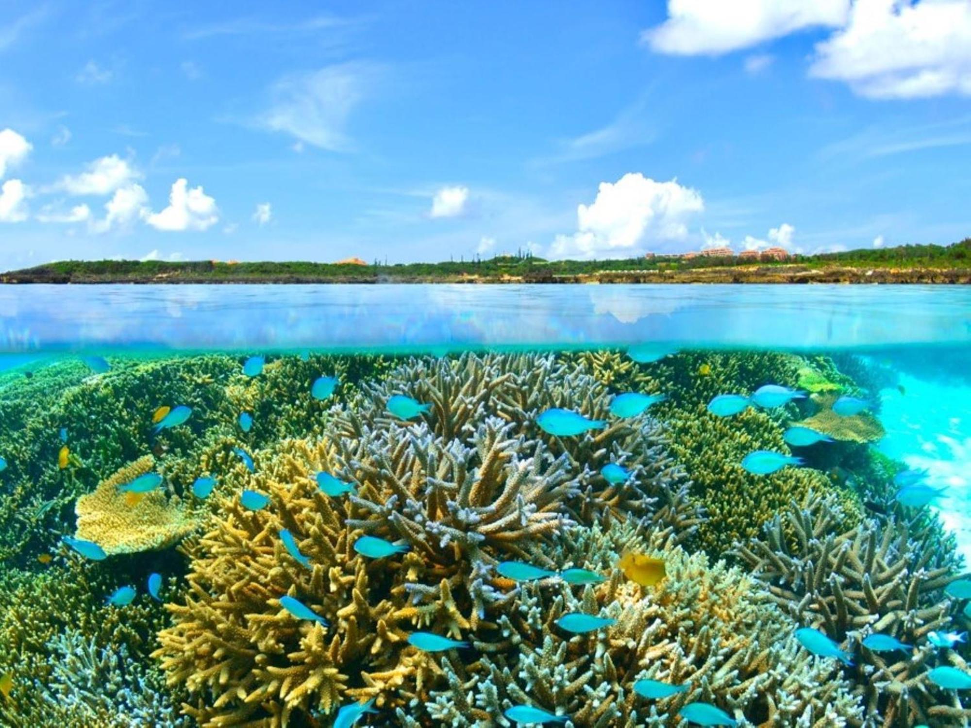 Allamanda Imgya Coral Village Miyakojima  Zewnętrze zdjęcie
